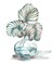 Island Tropics Frond in Bottle IV Poster Print by Tre Sorelle Studios - Item # VARPDXRB12890TS